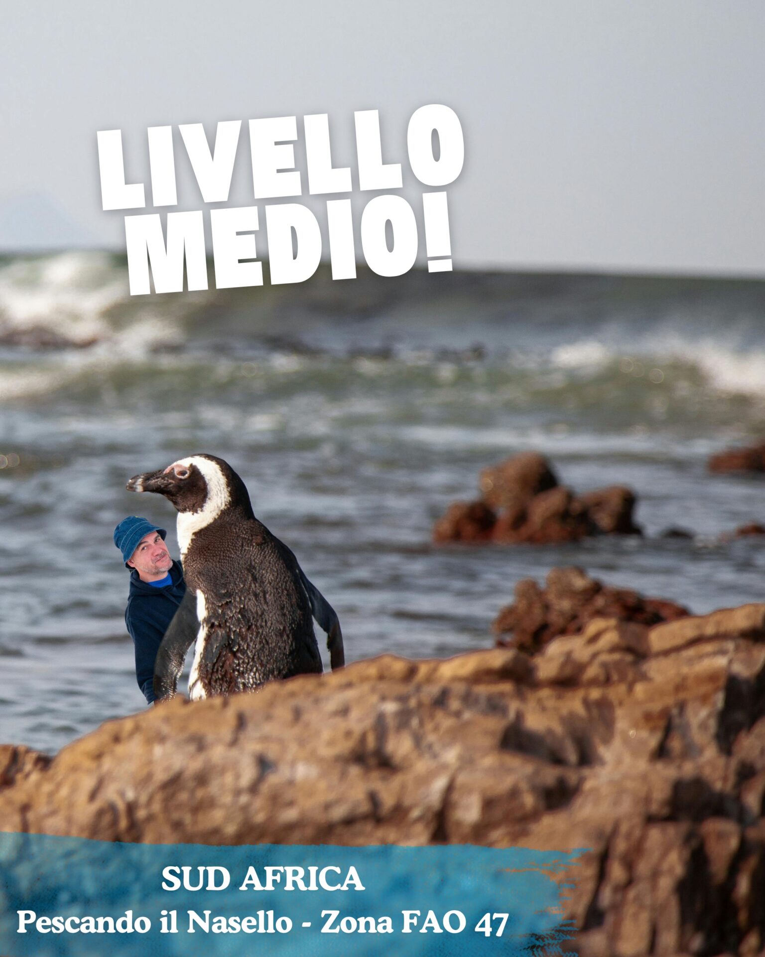 Alla ricerca di nando